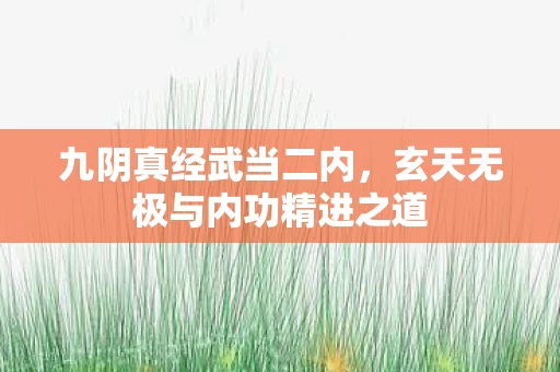 玄天无极与内功精进之道图片