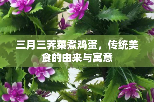 传统美食的由来与寓意图片