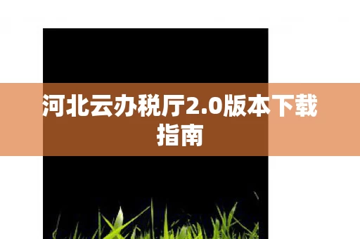 河北云办税厅2图片