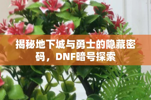 揭秘地下城与勇士的隐藏密码图片