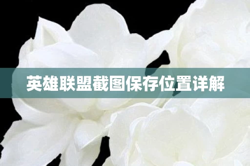 英雄联盟截图保存位置详解图片