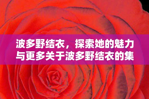 探索她的魅力与更多关于波多野结衣的集合图片