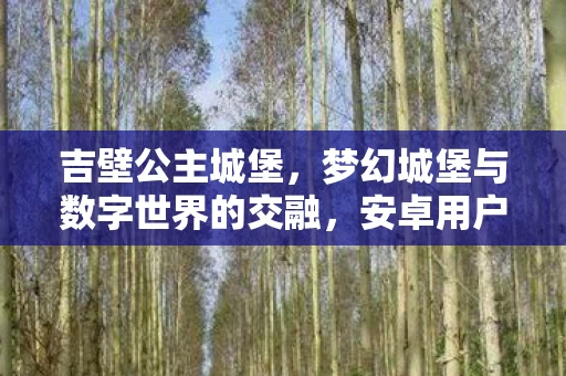 梦幻城堡与数字世界的交融图片