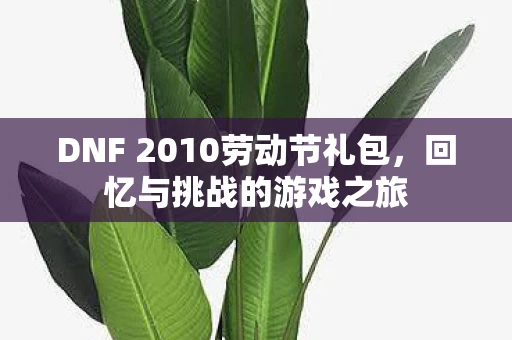 DNF 2010劳动节礼包图片
