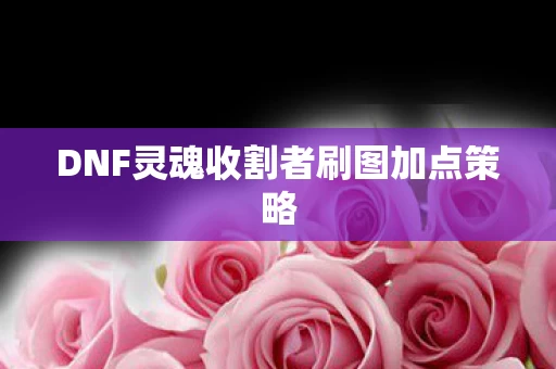 DNF灵魂收割者刷图加点策略图片