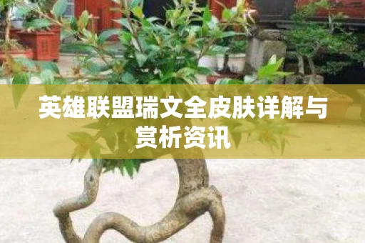 英雄联盟瑞文全皮肤详解与赏析资讯图片