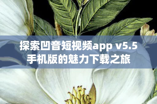 探索凹音短视频app v5图片