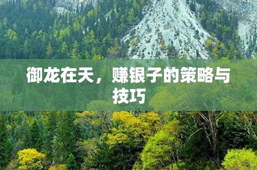 赚银子的策略与技巧图片