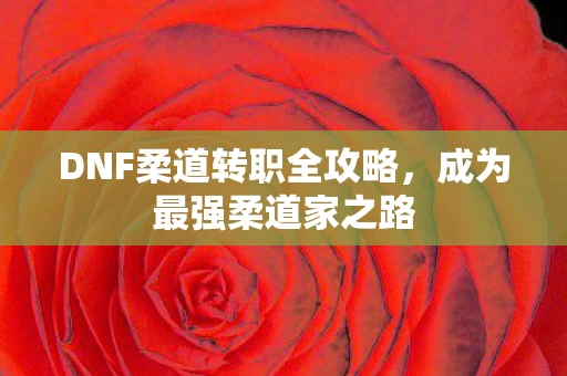 DNF柔道转职全攻略图片