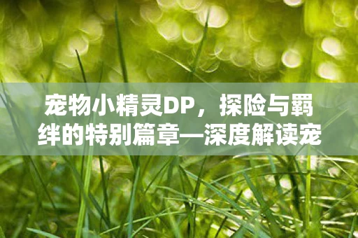 深度解读宠物小精灵DP特别篇图片