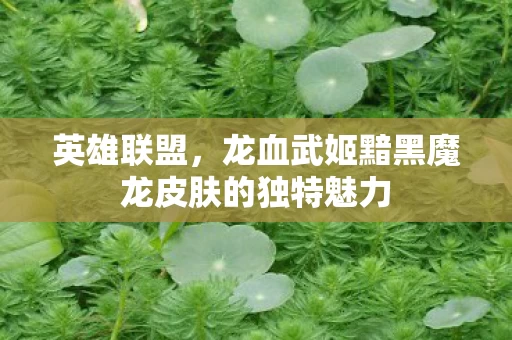 龙血武姬黯黑魔龙皮肤的独特魅力图片