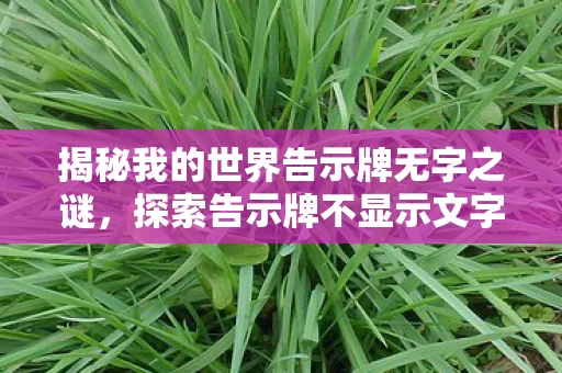 探索告示牌不显示文字的资讯与解决方案图片