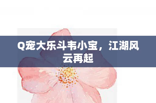 Q宠大乐斗韦小宝图片
