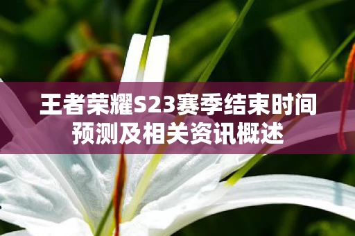 王者荣耀S23赛季结束时间预测及相关资讯概述图片