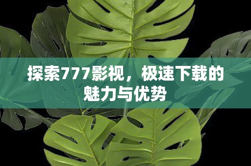 极速下载的魅力与优势图片