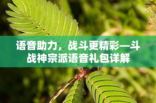 斗战神宗派语音礼包详解图片