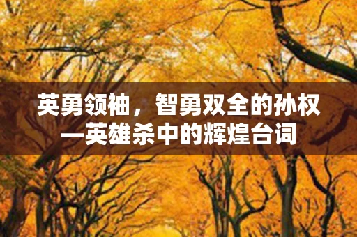 英雄杀中的辉煌台词图片