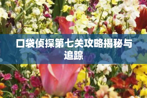 口袋侦探第七关攻略揭秘与追踪图片