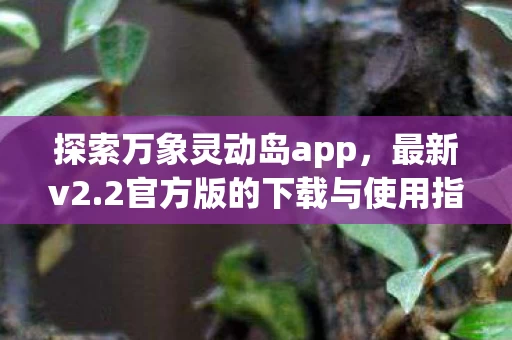 2官方版的下载与使用指南图片