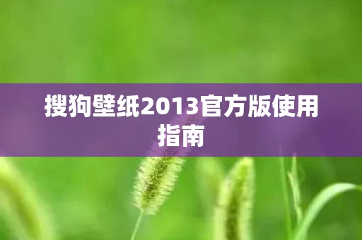 搜狗壁纸2013官方版使用指南图片