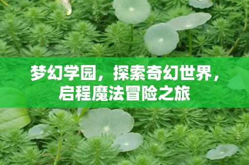 启程魔法冒险之旅图片