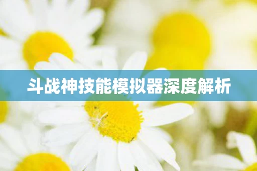 斗战神技能模拟器深度解析图片