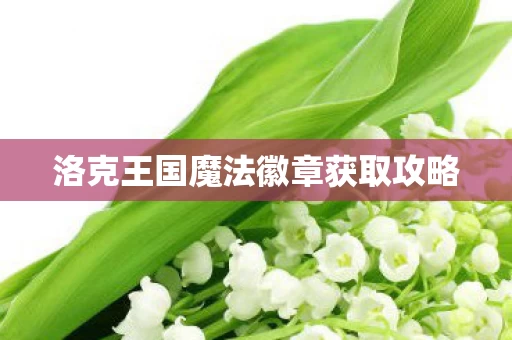 洛克王国魔法徽章获取攻略图片