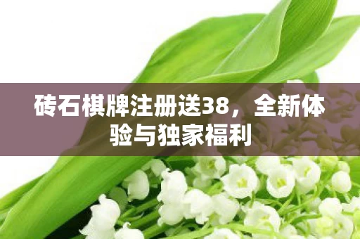 砖石棋牌注册送38图片