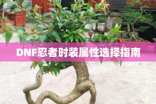 DNF忍者时装属性选择指南图片