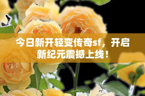 今日新开轻变传奇sf图片