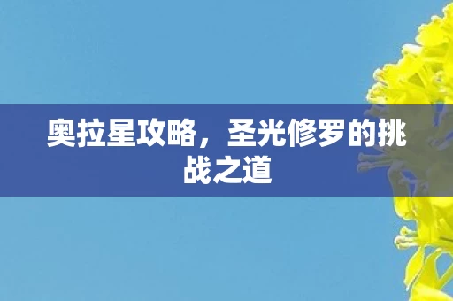 圣光修罗的挑战之道图片