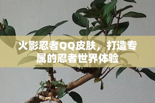 打造专属的忍者世界体验图片