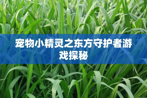 宠物小精灵之东方守护者游戏探秘图片