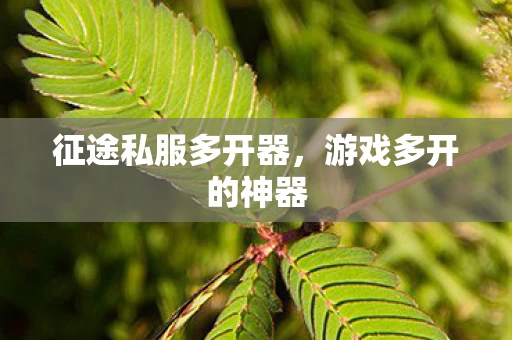 征途私服多开器图片