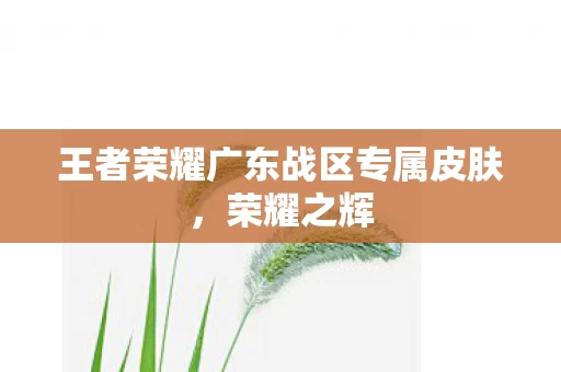 王者荣耀广东战区专属皮肤图片