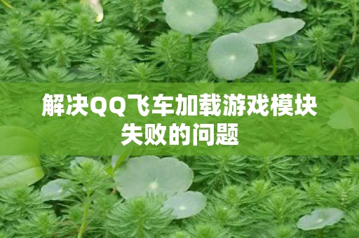 解决QQ飞车加载游戏模块失败的问题图片