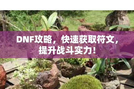快速获取符文图片