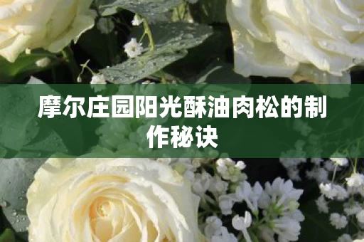 摩尔庄园阳光酥油肉松的制作秘诀图片