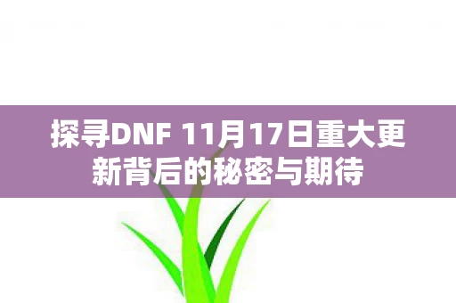 探寻DNF 11月17日重大更新背后的秘密与期待图片