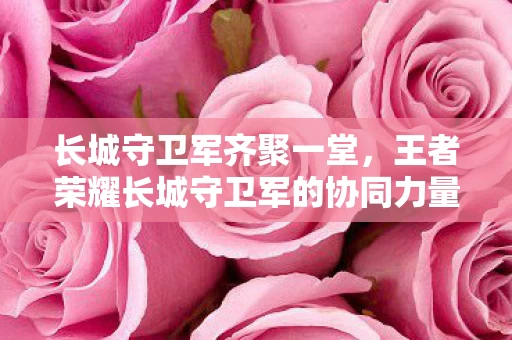 王者荣耀长城守卫军的协同力量图片