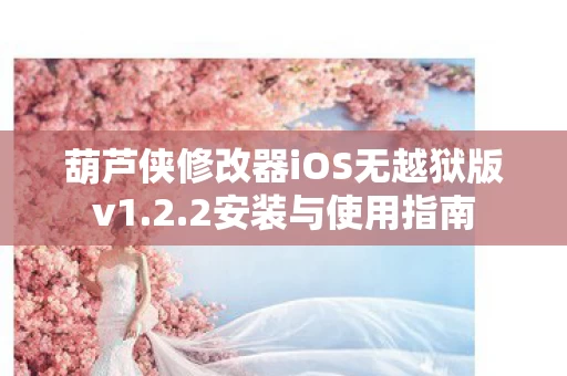 葫芦侠修改器iOS无越狱版v1图片