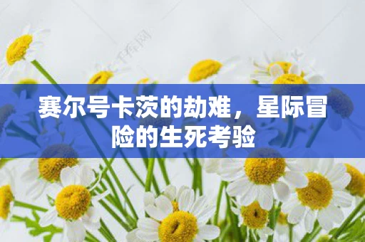星际冒险的生死考验图片