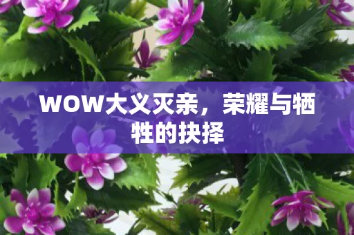 荣耀与牺牲的抉择图片