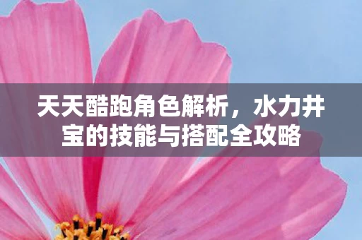 水力井宝的技能与搭配全攻略图片