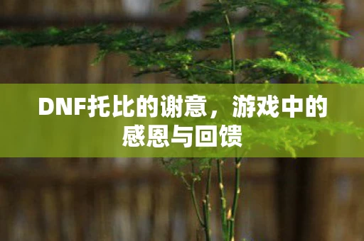 游戏中的感恩与回馈图片