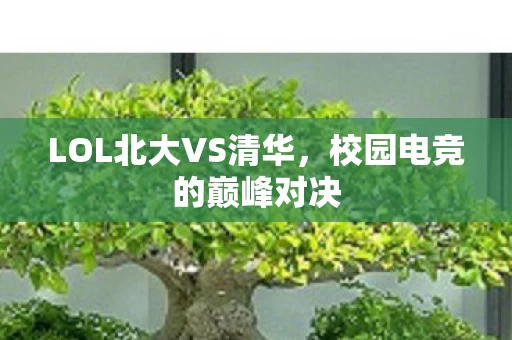 LOL北大VS清华图片