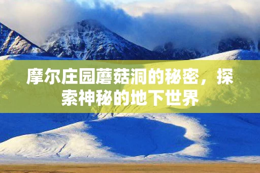 摩尔庄园蘑菇洞的秘密图片
