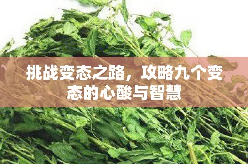 攻略九个变态的心酸与智慧图片