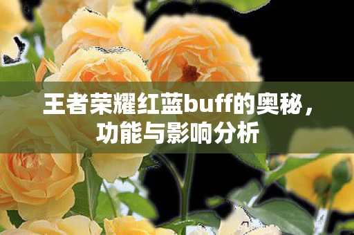 王者荣耀红蓝buff的奥秘图片