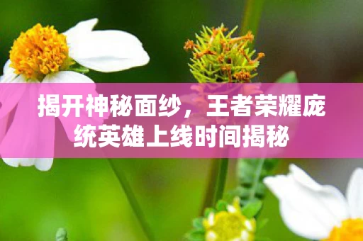 王者荣耀庞统英雄上线时间揭秘图片